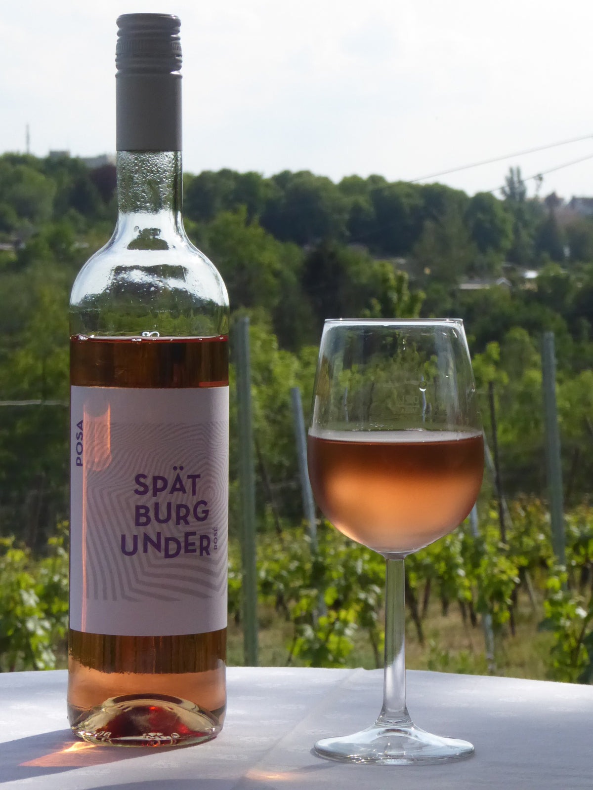 Spätburgunder Rosé